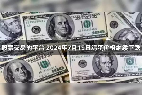 股票交易的平台 2024年7月19日鸡蛋价格继续下跌