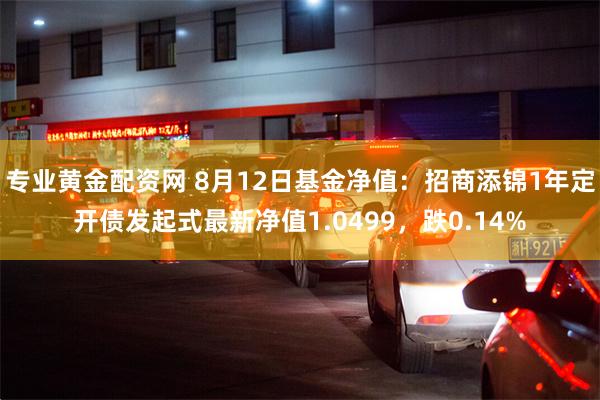 专业黄金配资网 8月12日基金净值：招商添锦1年定开债发起式最新净值1.0499，跌0.14%