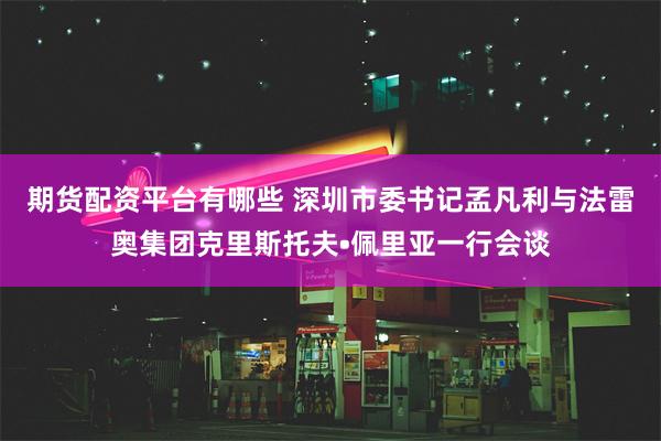 期货配资平台有哪些 深圳市委书记孟凡利与法雷奥集团克里斯托夫•佩里亚一行会谈