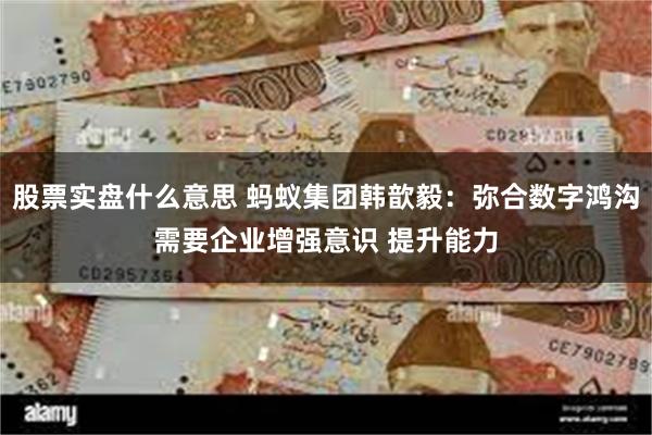 股票实盘什么意思 蚂蚁集团韩歆毅：弥合数字鸿沟需要企业增强意识 提升能力