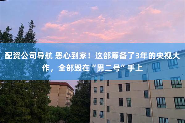 配资公司导航 恶心到家！这部筹备了3年的央视大作，全部毁在“男二号”手上