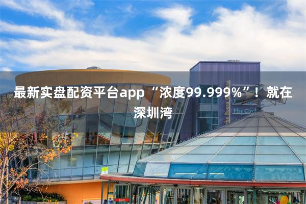 最新实盘配资平台app “浓度99.999%”！就在深圳湾