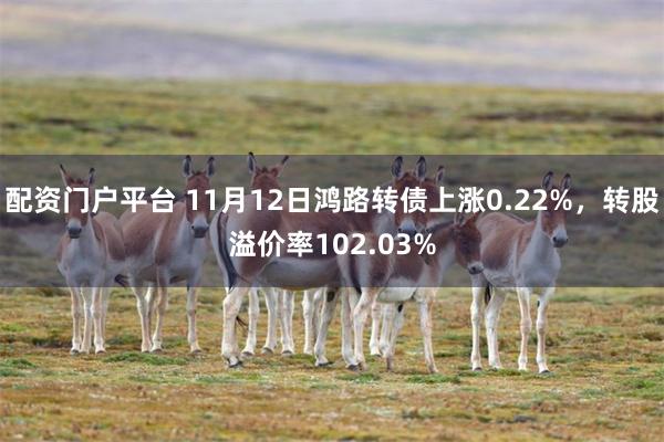 配资门户平台 11月12日鸿路转债上涨0.22%，转股溢价率102.03%