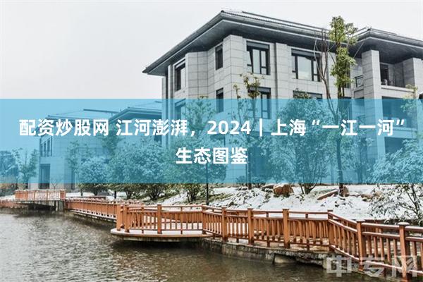 配资炒股网 江河澎湃，2024｜上海“一江一河”生态图鉴