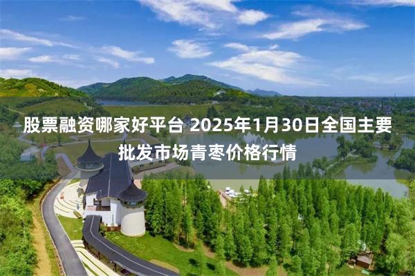 股票融资哪家好平台 2025年1月30日全国主要批发市场青枣价格行情