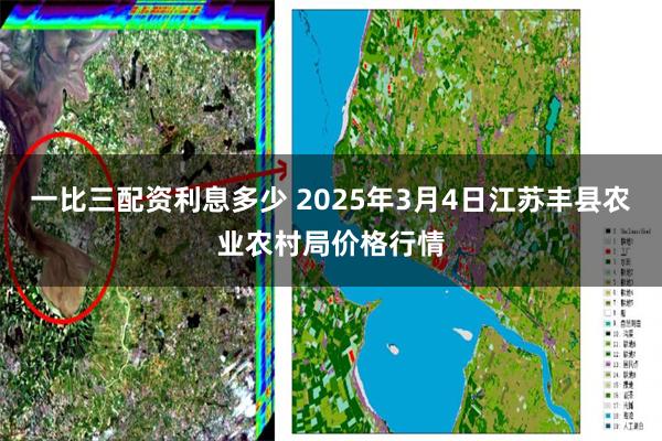 一比三配资利息多少 2025年3月4日江苏丰县农业农村局价格行情